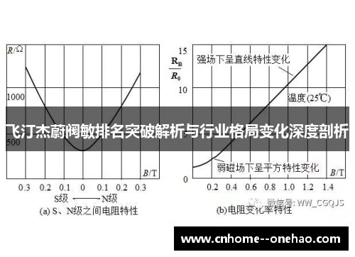 飞汀杰蔚阀敏排名突破解析与行业格局变化深度剖析