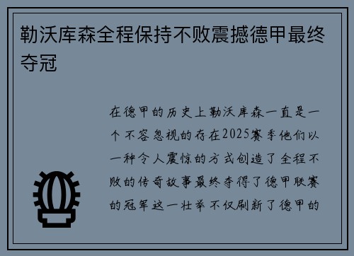 勒沃库森全程保持不败震撼德甲最终夺冠