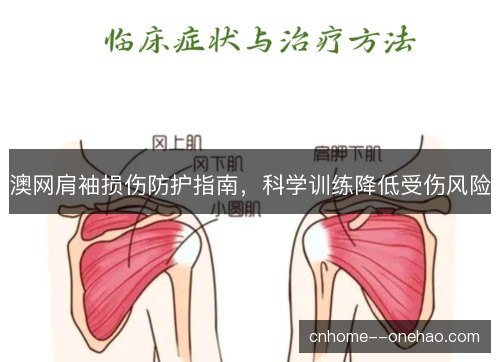 澳网肩袖损伤防护指南,科学训练降低受伤风险 澳网肩袖损伤防护指南,科学训练降低受伤风险