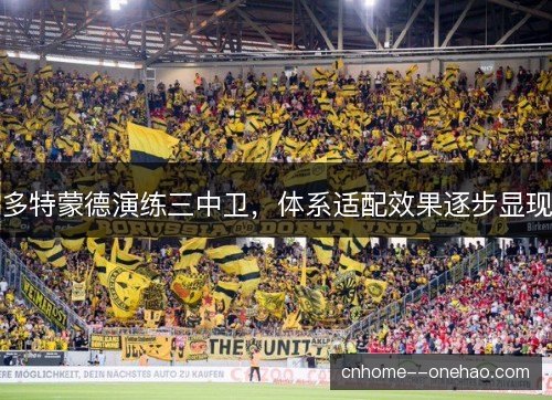 多特蒙德演练三中卫,体系适配效果逐步显现 多特蒙德演练三中卫,体系适配效果逐步显现